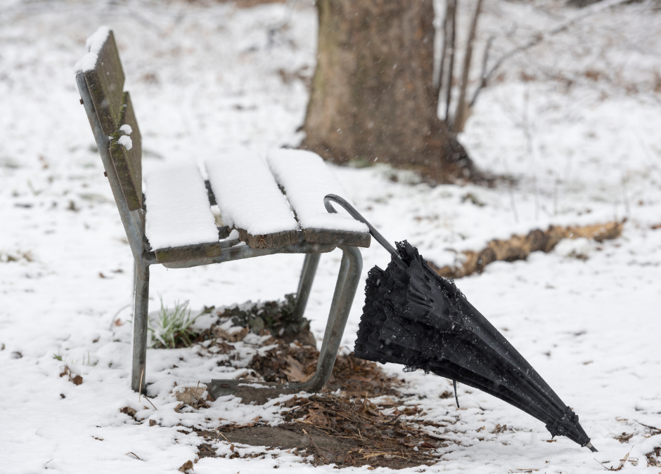 snow covered park bench with umbrella