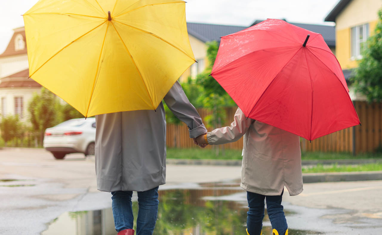 umbrella